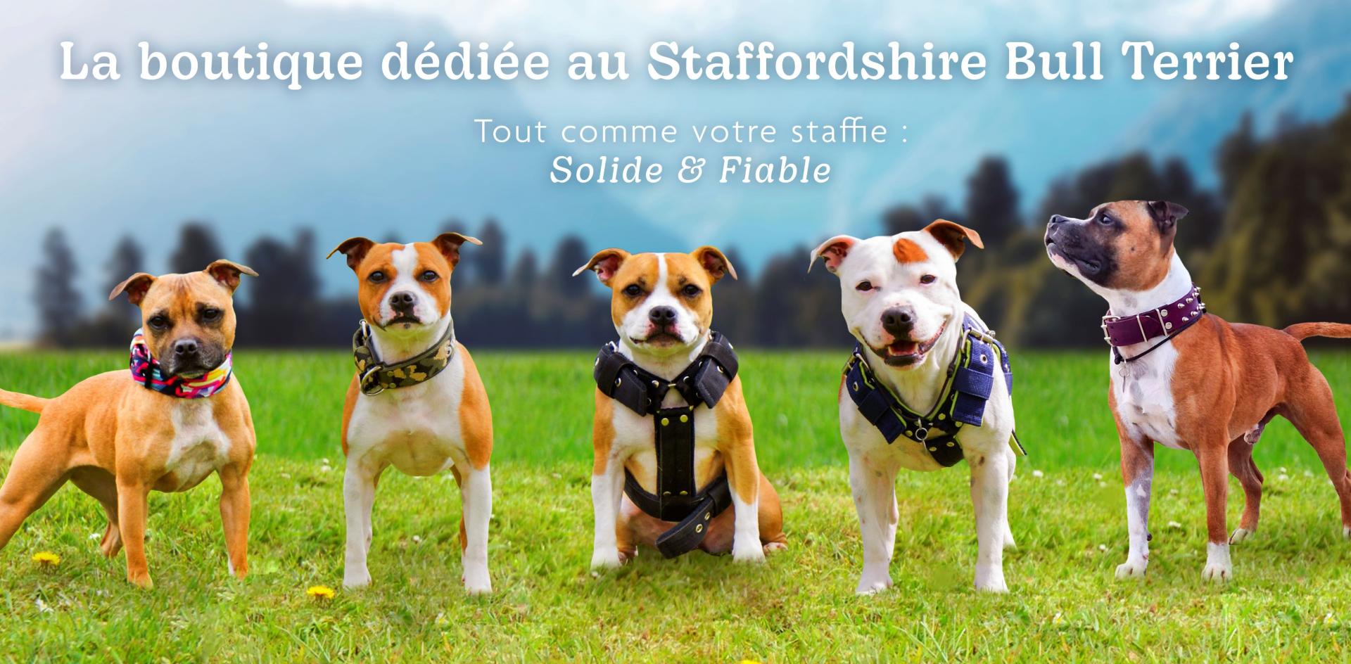 La boutique dédiée au Staffordshire Bull Terrier