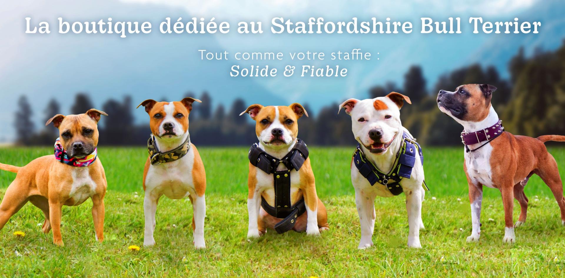 Boutique vetement amstaff deals