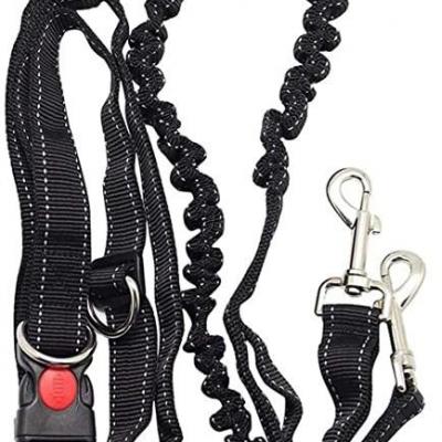 Ceinture cani cross