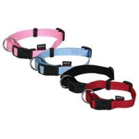 Collier chiot staffie reglable