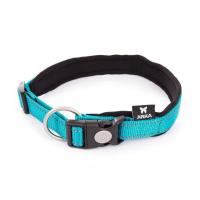 Collier jeune staffie bleu