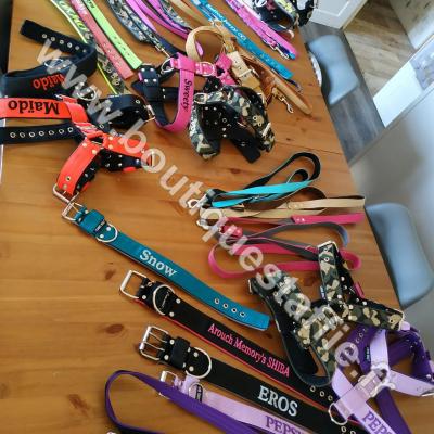Colliers staffie personalises