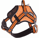 Harnais arka orange