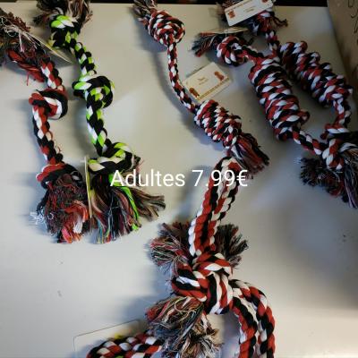 Cordes