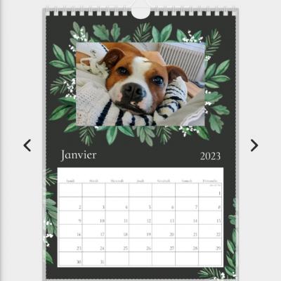 Calendrier staffie 2023