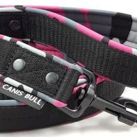 Laisse rose militaire